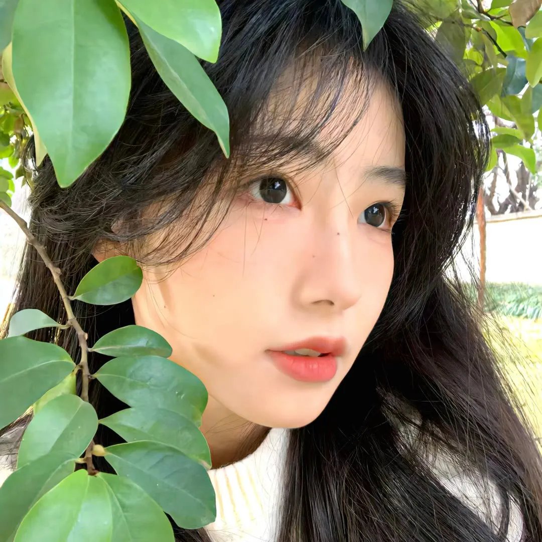 阳光下游